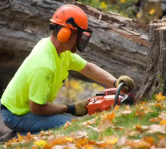 tree services Brices Creek